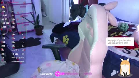 111lucygrim111 online show from October 2025 06:45:02 PM