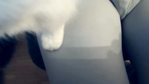 111mh online show from April 2026 10:40:02 PM