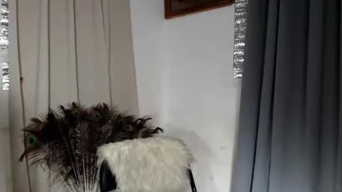 barbie online show from February 2026 01:58:01 PM