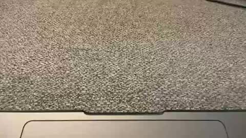 1arkansasguy online show from January 2025 02:52:02 PM