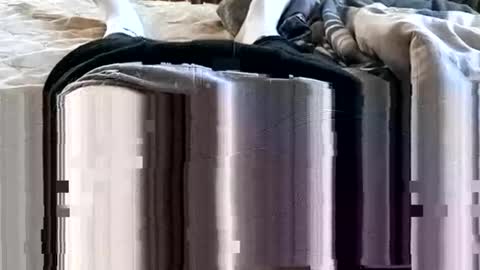 1injecttoys_ online show from March 2026 05:37:02 AM