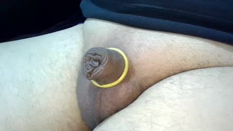 MICA online show from December 2024 01:41:01 PM