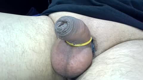 MICA online show from December 2024 05:14:01 PM