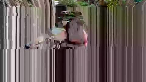 BiHungThickCock69 online show from March 2026 09:32:02 PM