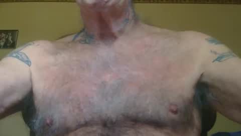 Pizza online show from November 2025 02:38:02 PM