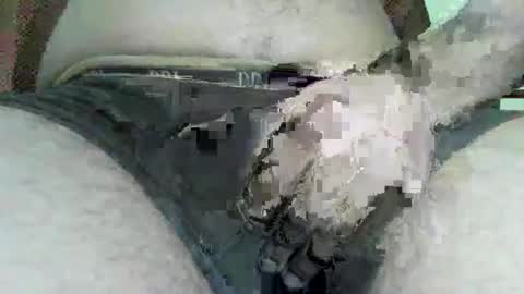 Snapshot of 1xviperx1 chatting on January 2025 01:11:01 PM Max online show from January 2025 01:11:01 PM