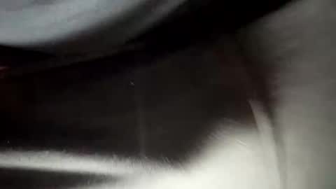 24robin online show from February 2026 08:46:02 PM