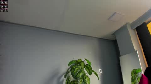 2_fire online show from November 2025 08:54:01 PM