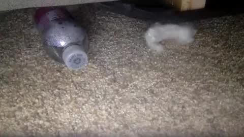 30nick online show from February 2026 04:16:02 AM