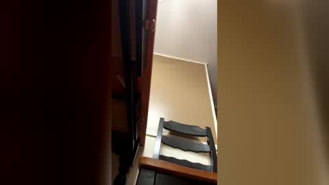 33adidas online show from January 2026 09:12:01 AM