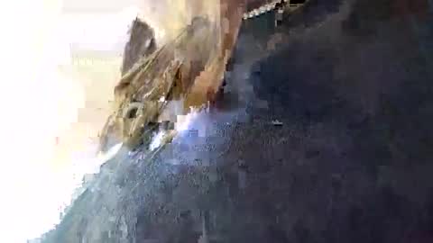 3X NAXAA online show from January 2026 01:59:01 PM