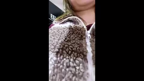 3X NAXAA online show from March 2026 01:14:02 PM