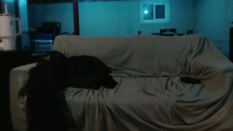 420bunnie online show from February 2025 07:20:01 AM