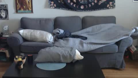 Snapshot of 420randomguy chatting on March 2026 01:07:02 PM Anomander Rake online show from March 2026 01:07:02 PM