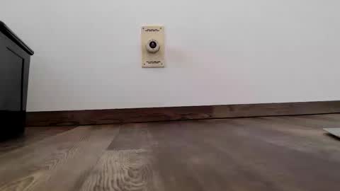 Steven online show from January 2026 11:04:02 AM