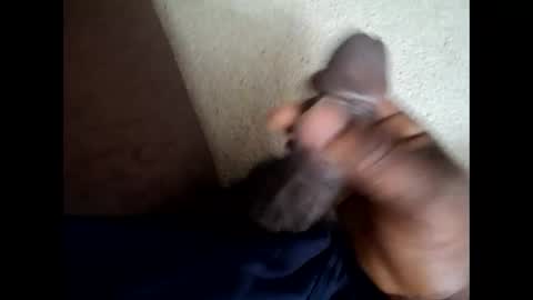 559lark online show from April 2026 03:20:01 AM