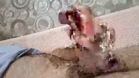 5o5i5ka online show from October 2025 02:29:01 PM