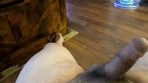 5tone_bon3 online show from January 2025 07:04:01 AM