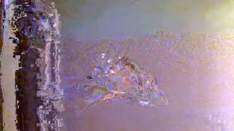 Zeus online show from November 2025 06:15:02 AM