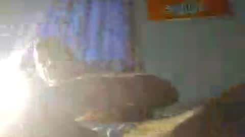 Zeus online show from August 2026 12:47:02 AM