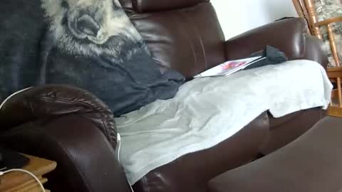 Snapshot of 66bear chatting on December 2025 03:28:02 PM 66bear online show from December 2025 03:28:02 PM