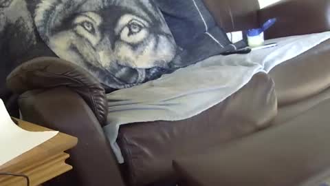 Snapshot of 66bear chatting on March 2026 12:53:01 PM 66bear online show from March 2026 12:53:01 PM