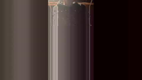 69bidam online show from January 2026 12:20:01 PM