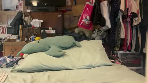 FUCKR online show from March 2026 04:50:01 AM