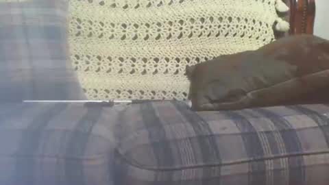 Snapshot of 69sextoyboy69 chatting on January 2025 03:41:01 PM 69sextoyboy69 online show from January 2025 03:41:01 PM