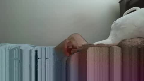 6boss498491 online show from February 2026 12:52:02 AM