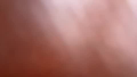 Snapshot of 7znkbob chatting on March 2025 06:29:01 AM bob big head online show from March 2025 06:29:01 AM