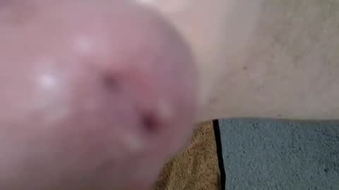 Snapshot of 81_harterschwanz chatting on December 2024 12:06:01 PM Maximilian Max online show from December 2024 12:06:01 PM