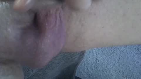 Snapshot of 81_harterschwanz chatting on February 2025 10:48:02 AM Maximilian Max online show from February 2025 10:48:02 AM