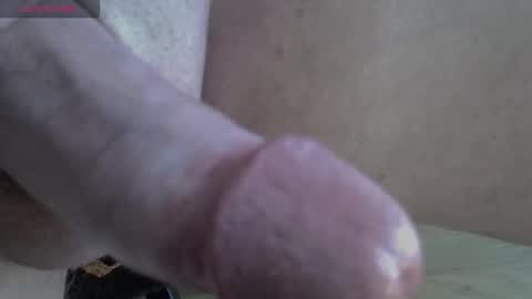 Snapshot of 81_harterschwanz chatting on November 2025 11:20:02 AM Maximilian Max online show from November 2025 11:20:02 AM