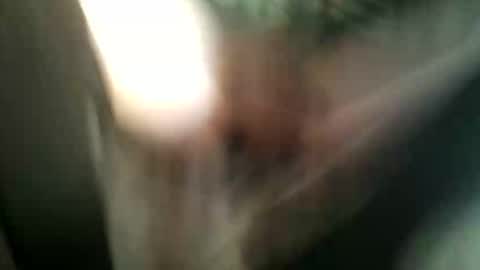 Snapshot of 8675309r2d2 chatting on November 2025 06:55:01 AM 8675309r2d2 online show from November 2025 06:55:01 AM