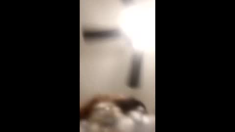 KittyPoo107 online show from June 2026 02:33:02 AM