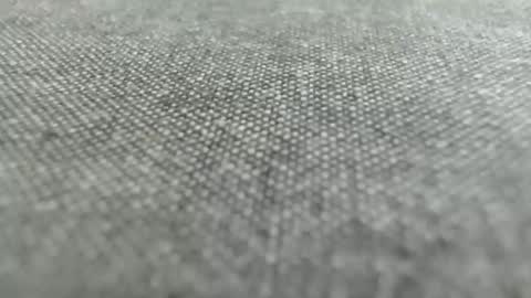 9inchesreal online show from October 2025 11:11:02 AM