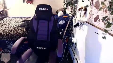 bandit online show from February 2026 11:14:01 PM