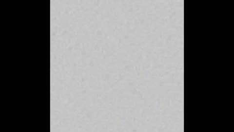 Brenda online show from November 2025 11:54:01 AM