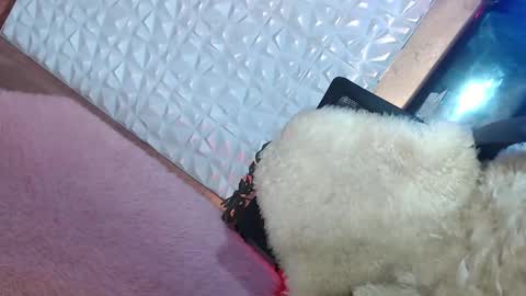 Caroline online show from January 2025 01:55:02 PM