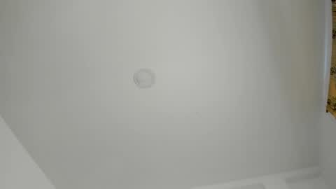 Snapshot of _danik0 chatting on February 2026 04:04:02 PM danik online show from February 2026 04:04:02 PM