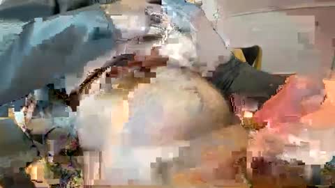 Ginger boy online show from February 2025 10:20:02 AM