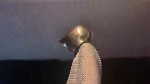 GOODKNIGHT online show from February 2025 05:07:02 AM