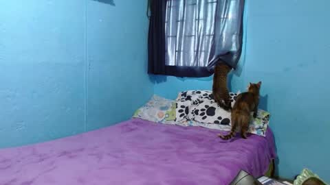 Snapshot of _sammanttha chatting on February 2025 06:21:02 PM Sammy online show from February 2025 06:21:02 PM