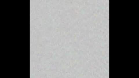 _tammarra_ online show from January 2026 12:31:01 PM