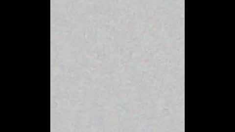 _tammarra_ online show from February 2026 12:23:01 PM