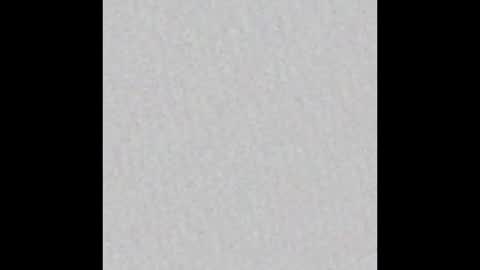 _tammarra_ online show from March 2026 12:08:01 PM