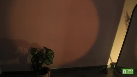 INSTAGRAM abby hall82 online show from December 2025 10:52:01 PM