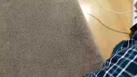 abepenix7 online show from March 2026 12:58:01 AM