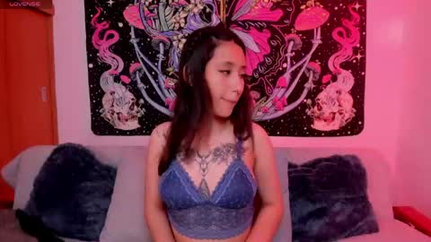 Ali Next Stream  01122024 - GMT-5  online show from April 2026 10:55:01 PM